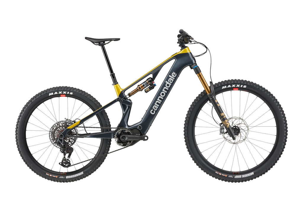 Cannondale Moterra SL 1 Tungsten