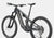 Cannondale Moterra LT 1