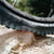Schwalbe Albert Gravity Pro Radial TLR