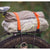 Voile Rack Strap