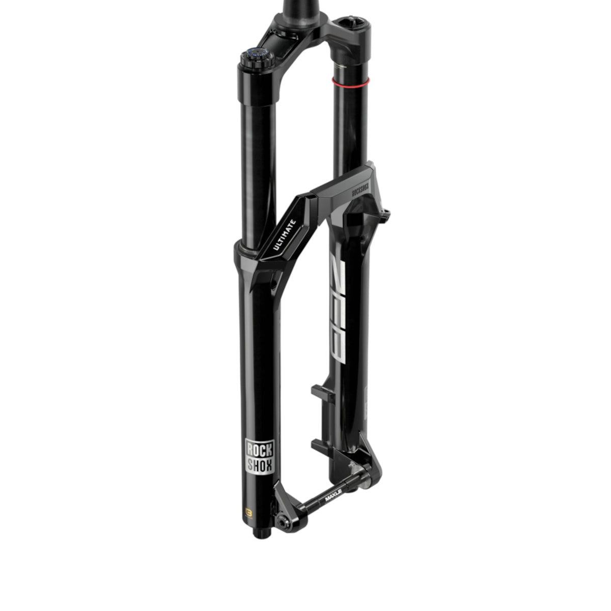 Forks & Suspension