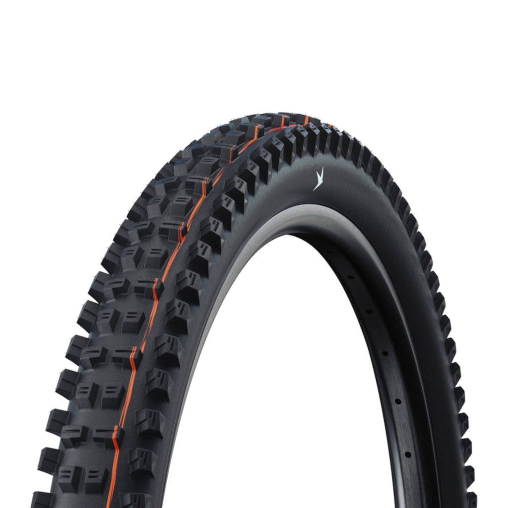 Schwalbe Tacky Chan Gravity Pro Radial TLR